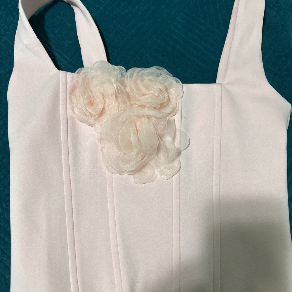 Showpo corset pink top